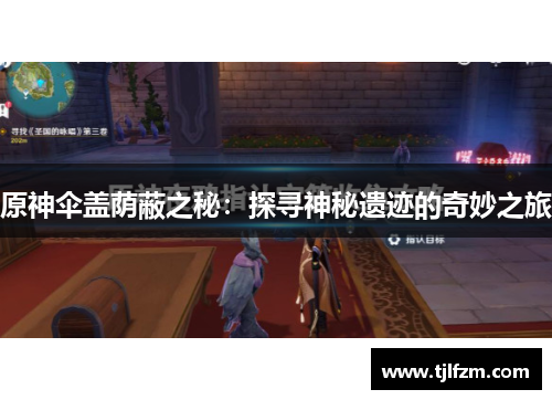 原神伞盖荫蔽之秘：探寻神秘遗迹的奇妙之旅