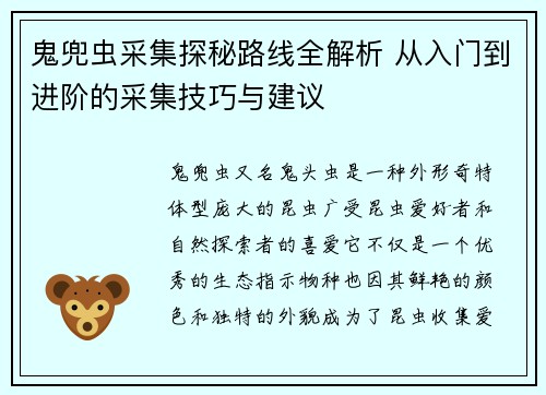 鬼兜虫采集探秘路线全解析 从入门到进阶的采集技巧与建议